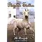Phantom Stallion