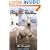 The Renegade (Phantom Stallion #4)