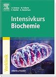 Intensivkurs Biochemie - Ulf Dettmer, Malte Folkerts, Eva K&auml;chler, Andreas S&ouml;nnichsen