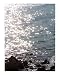 Reflections Scenic Photographic Poster Print by Natalia R. Mercedes-Williams, 16x20