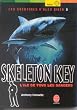 Alex Rider, tome 3 : Skeleton Key