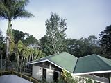 Decks in Forest, Las Cruces Biological Station, Wilson Botanical Gardens, San Vito, Costa Rica Photographic Poster Print