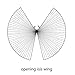 Dance Fairy Belly Dance Isis Opening Wings