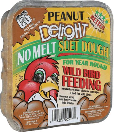 Wild bird food recipes