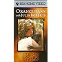In the Wild: Orangutans With Julia Roberts [VHS]