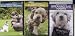   - Dog Training DVD Set (Puppy Care, Basic Dog Training, & Breaking Bad Habits)