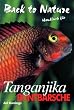 Tanganjika Buntbarsche