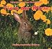  : Tiere der Wiese