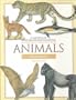 Animals: 1 (Macmillan Illustrated Encyclopedia)
