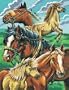 Paint By Number - Horse Montage