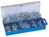 Draper 61272 Panhead Screw & Nut Assortment 366pc