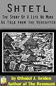 Shtetl - the story of a life no more (as told from the hereafter) (Jewish Historical Fiction)