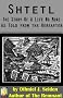 Shtetl - the story of a life no more (as told from the hereafter) (Jewish Historical Fiction)