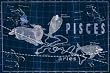 Canvas Print, Pisces and Aries #3 - 42 x 28