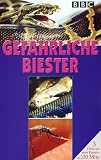 Eigenschaften Komplett Video  / Gefährliche Biester