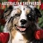 Australian Shepherds 2004 Calendar