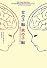 女の子脳　男の子脳―神経科学から見る子どもの育て方