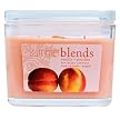 Vanilla & Peaches Soy Candle