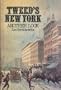 Tweed's New York: Another look