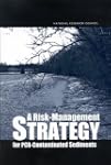 A Risk Management Strategy for PCB-Co...