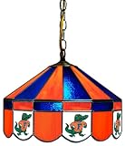 University of Florida Gators Stained Glass Bar Light