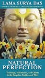 Natural Perfection: Teachings, Meditations and Chants in the Dzogchen Tradition of Tibet