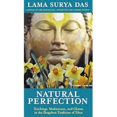 Natural Perfection: Teaching, Meditations and Chants in the Dzogchen Tradtion of Tibet