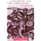Historical Archaeology Undergrads: essential books