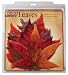 EuroQuest Imports Fall Deco Parchment Leaves, Package of 20