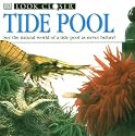 Tide Pool (Look Closer (Dorling Kindersley Paperback))