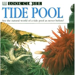 Tide Pool (Look Closer) Frank Greenaway