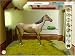 Horses Value Pack (PC CD)