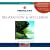A Meditation for Relaxation & Wellness (Health Journeys)