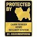 terrier23  - PROTECTED BY CAIRN TERRIER HOME SECURITY SYSTEM PARKING