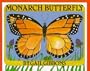 Monarch Butterfly
