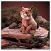 Folkmanis 2199 - Luchs