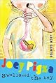 Joey Pigza Swallowed the Key
