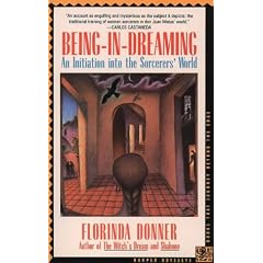 Being in Dreaming: Initiation into the Sorcerer's World (Harper Odyssey): Initiation into the Sorcerer's World (Harper Odyssey)