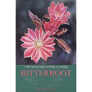 flower icon from Santalady flower icon from Santalady