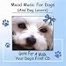 Mood Music for Dogs (And Dog Lovers) Gone for a Walk