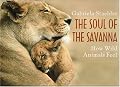 The Soul of the Savanna: How Wild Animals Feel