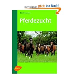 Pferdezucht
