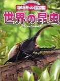 �����κ��� (�˥塼�磻�ɳظ��ο޴�)