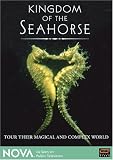 NOVA - Kingdom of the Seahorse NOVA - Kingdom of the Seahorse