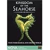 NOVA - Kingdom of the Seahorse