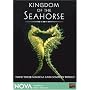 NOVA - Kingdom of the Seahorse