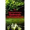 Witz und Humor - meine Favoriten
