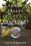 Three Stages of Amazement