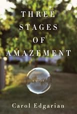 Three Stages of Amazement