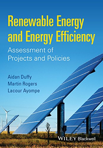 Renewable Energy and Energy Efficiency: Assessment of Projects and Policies